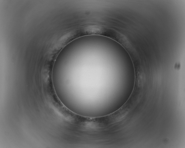 X0000112870259200908211433