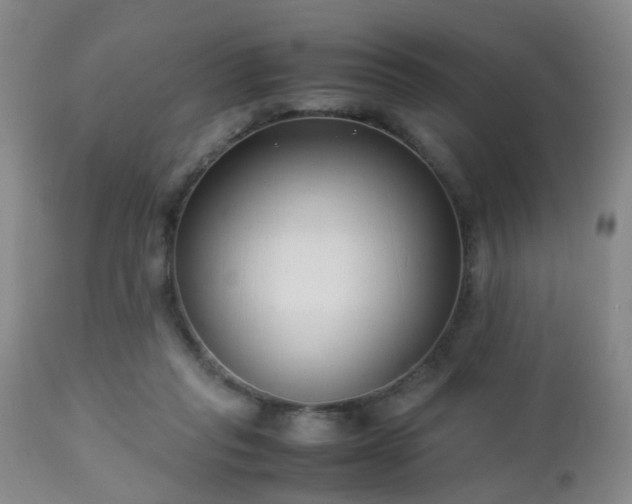 X0000112870261200908211433