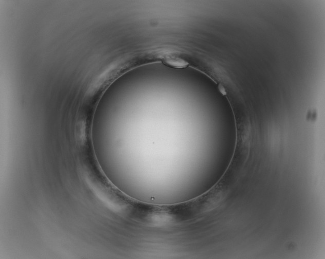 X0000112870262200908211433