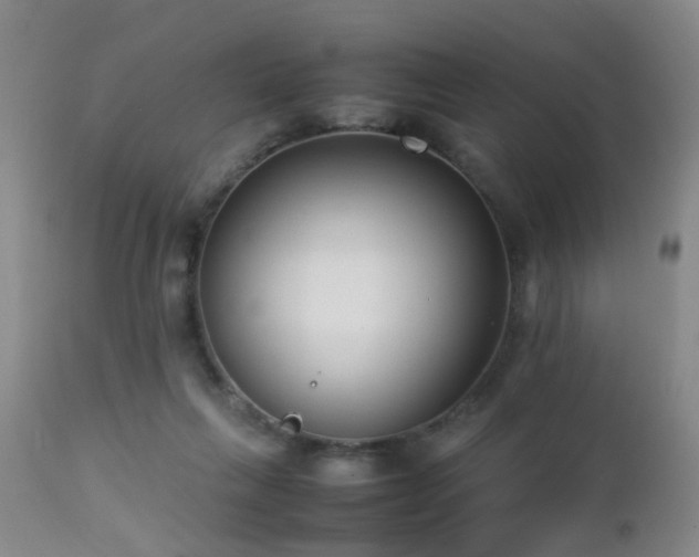 X0000112870263200908211433