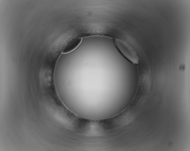X0000112870264200908211433