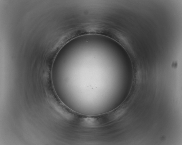X0000112870265200908211433