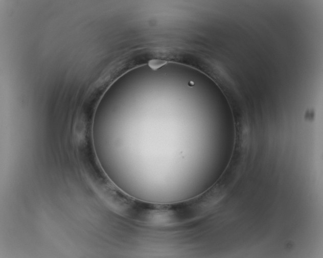 X0000112870266200908211433