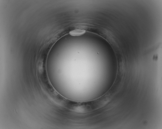 X0000112870267200908211433