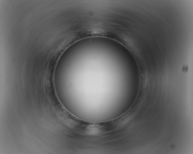 X0000112870269200908211433