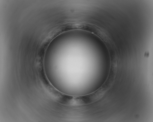 X0000112870270200908211433