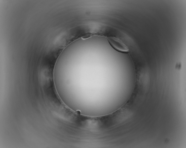 X0000112870272200908211433