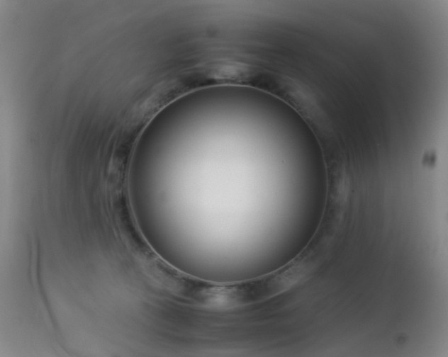 X0000112870273200908211433