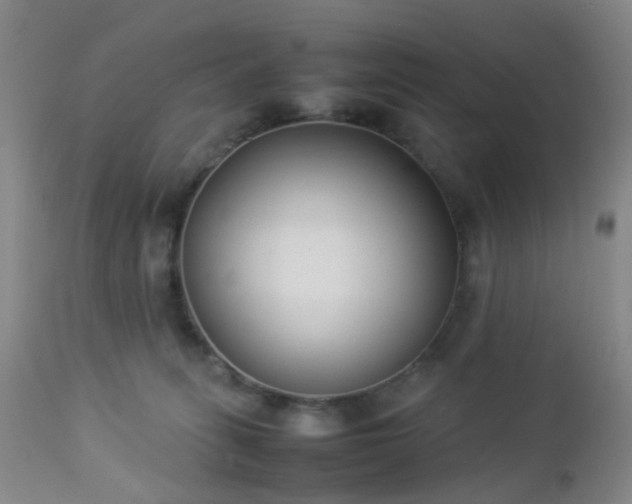 X0000112870275200908211433