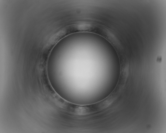 X0000112870277200908211433