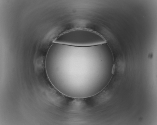 X0000112870280200908211433