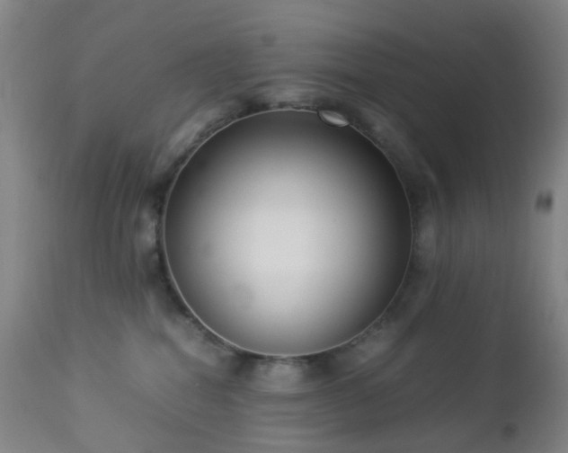 X0000112870282200908211433