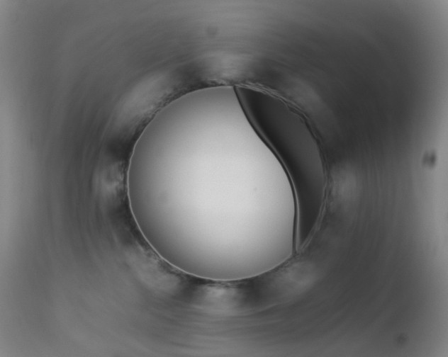 X0000112870284200908211433