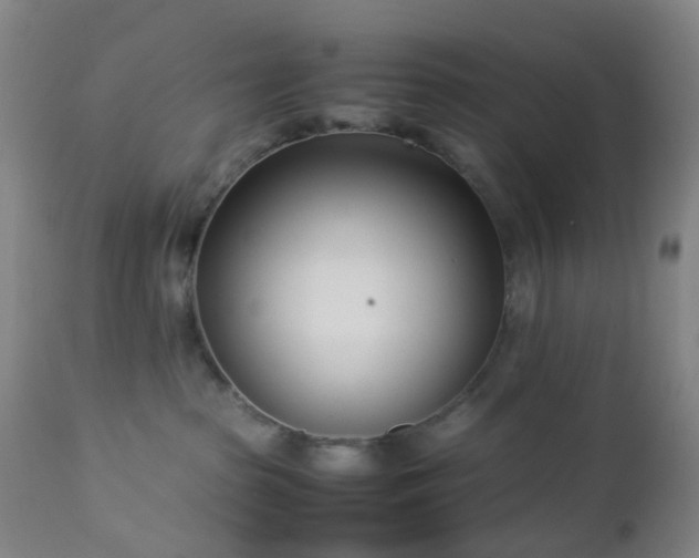 X0000112870285200908211433