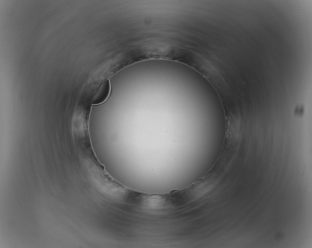 X0000112870287200908211433