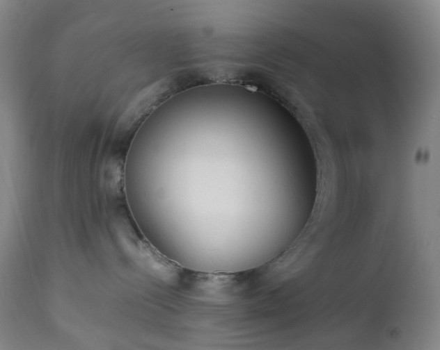 X0000112870288200908211433