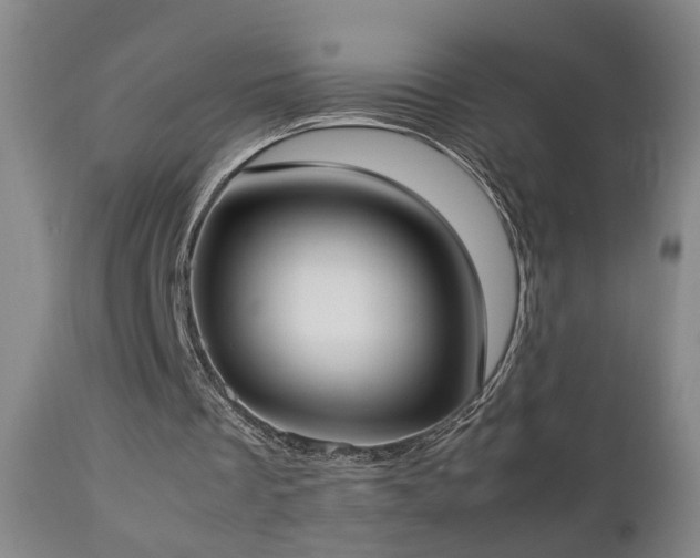 X0000112870289200908211433