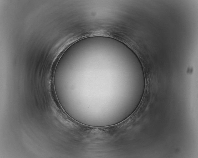 X0000112870290200908211433