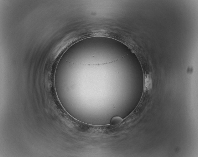 X0000112870291200908211433