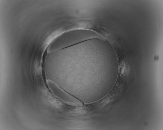 X0000112870292200908211433