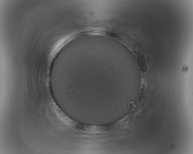X0000112870293200908211433