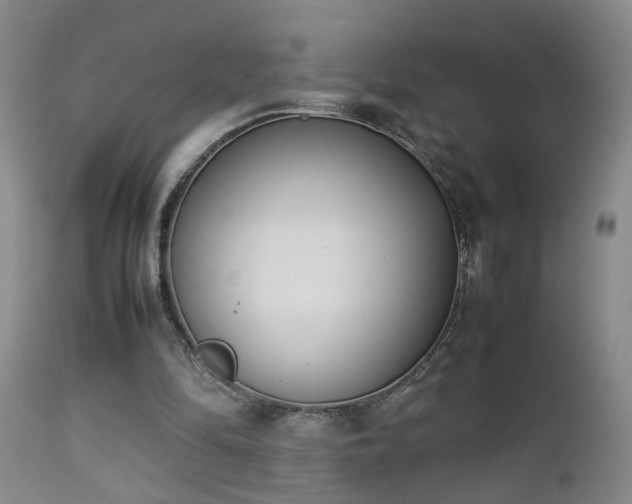 X0000112870294200908211433