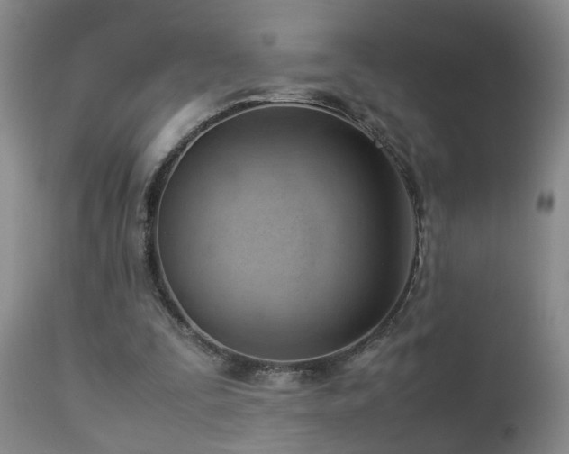 X0000112870295200908211433