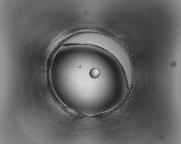 X0000112870296200908211433
