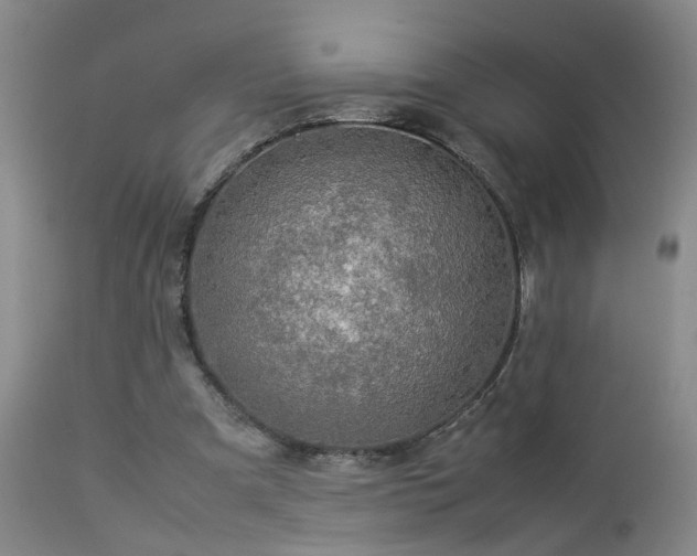 X0000112870297200908211433