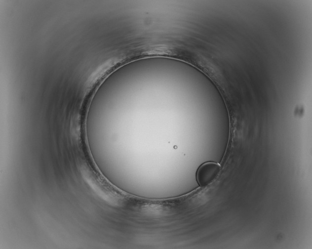 X0000112870298200908211433