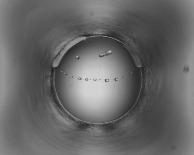X0000112870299200908211433