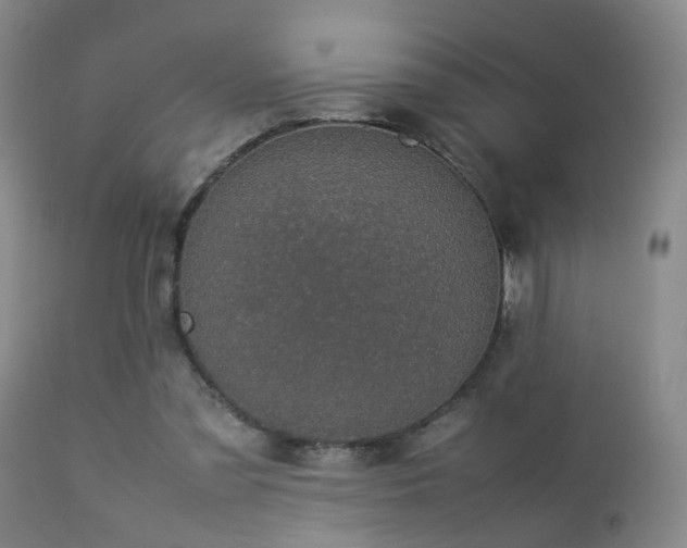 X0000112870301200908211432