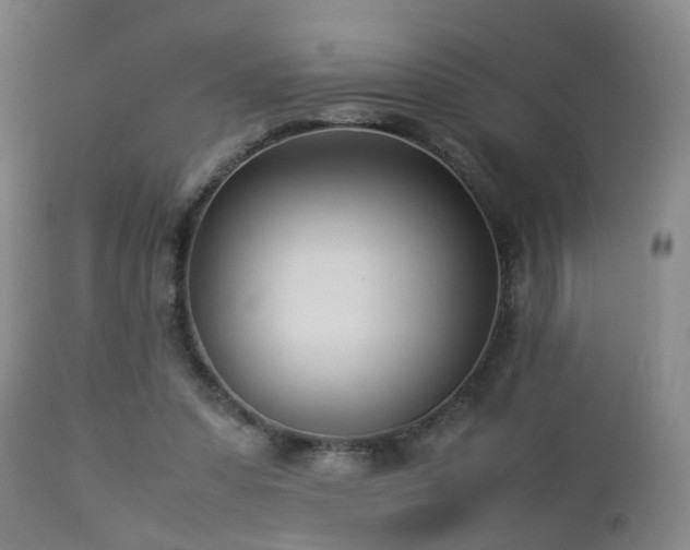 X0000112870303200908211432