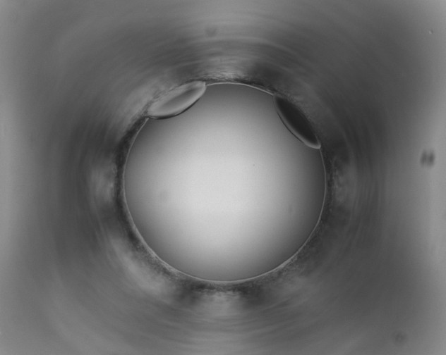X0000112870304200908211432