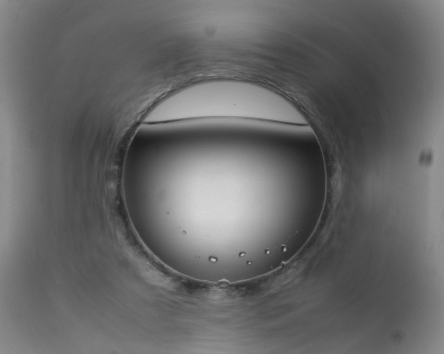 X0000112870305200908211432