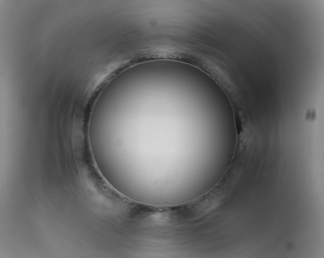 X0000112870306200908211432