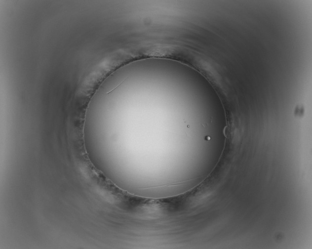 X0000112870307200908211432