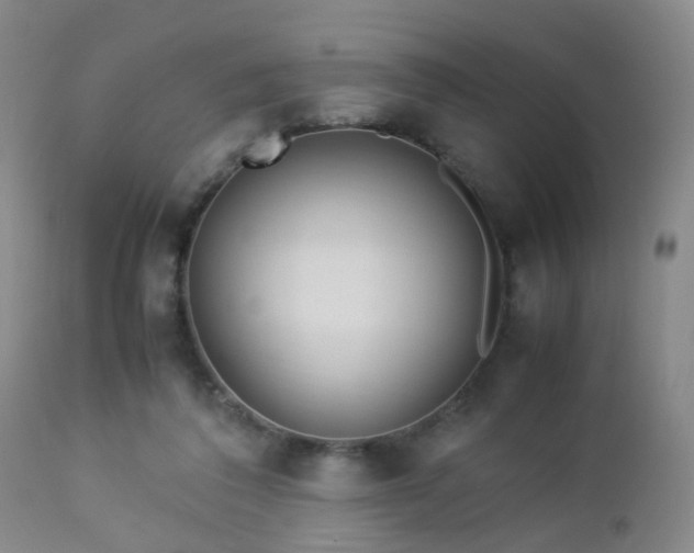 X0000112870308200908211432