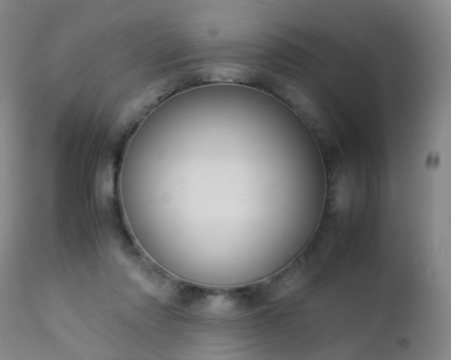 X0000112870310200908211432