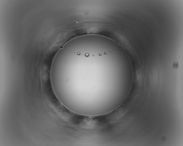 X0000112870311200908211432