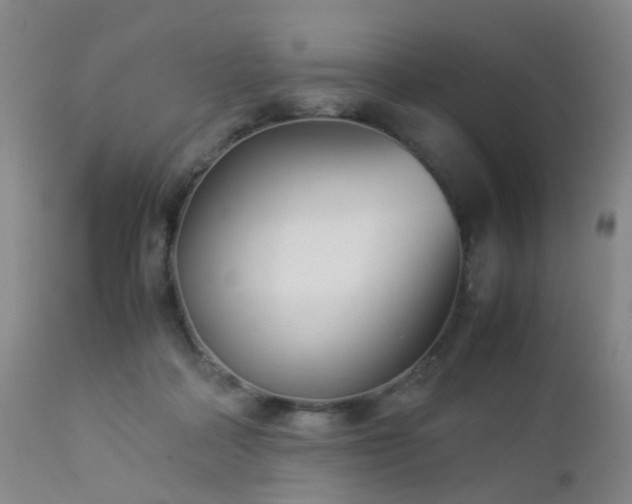 X0000112870314200908211432