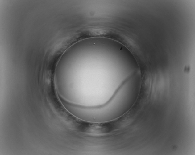 X0000112870315200908211432