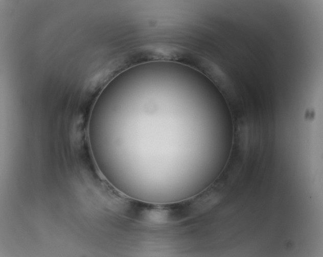 X0000112870318200908211432
