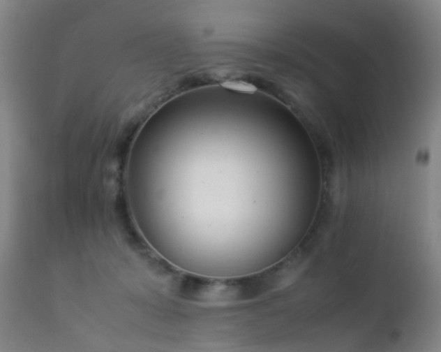 X0000112870319200908211432