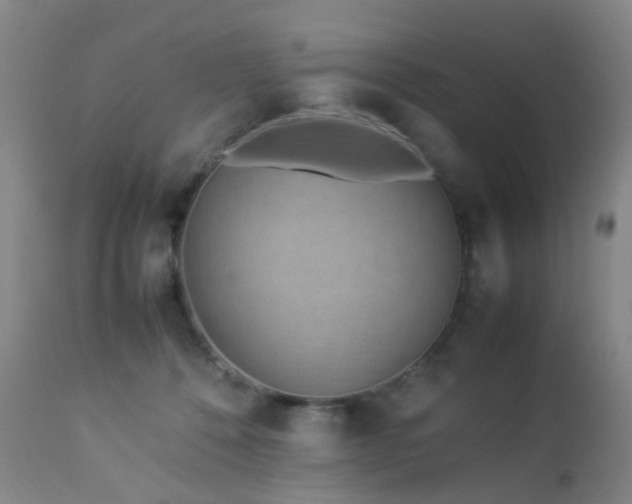X0000112870320200908211432