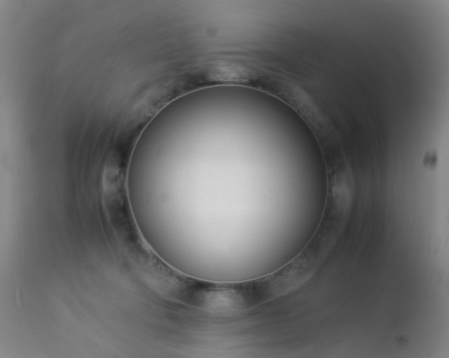 X0000112870322200908211432