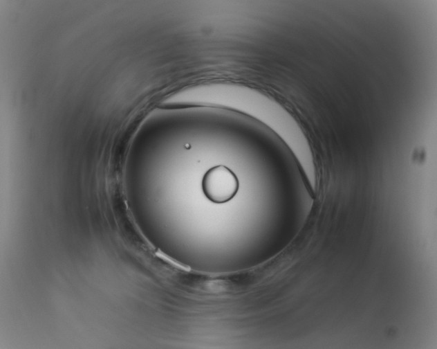 X0000112870324200908211432