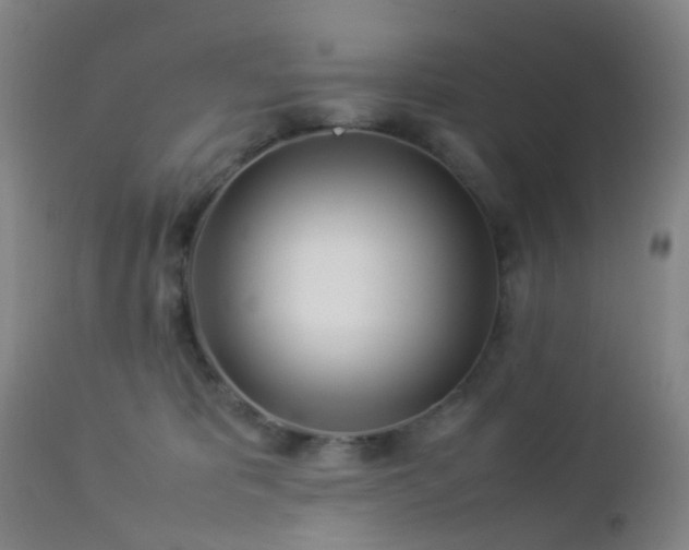 X0000112870325200908211432