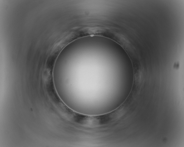 X0000112870327200908211432