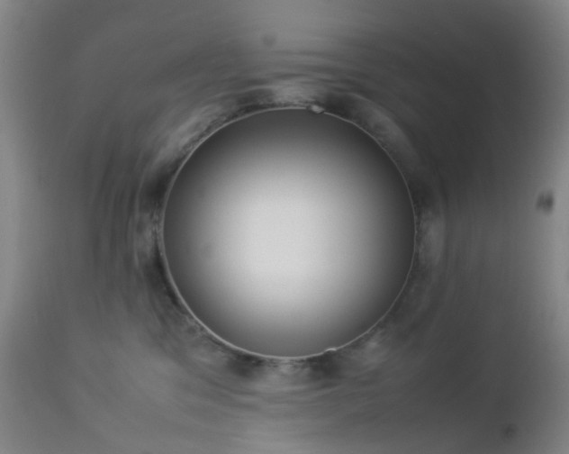 X0000112870329200908211432